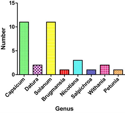 Ethnobotany and Antimicrobial Peptides From Plants of the Solanaceae Family: An Update and Future Prospects